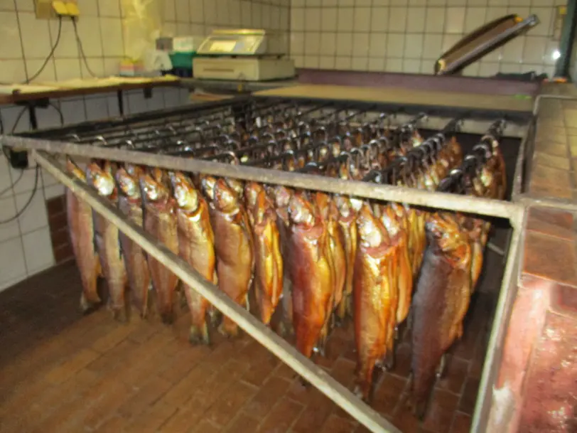 Fischzucht und Vermarktung Eiber Schiltlmühle in Pemfling